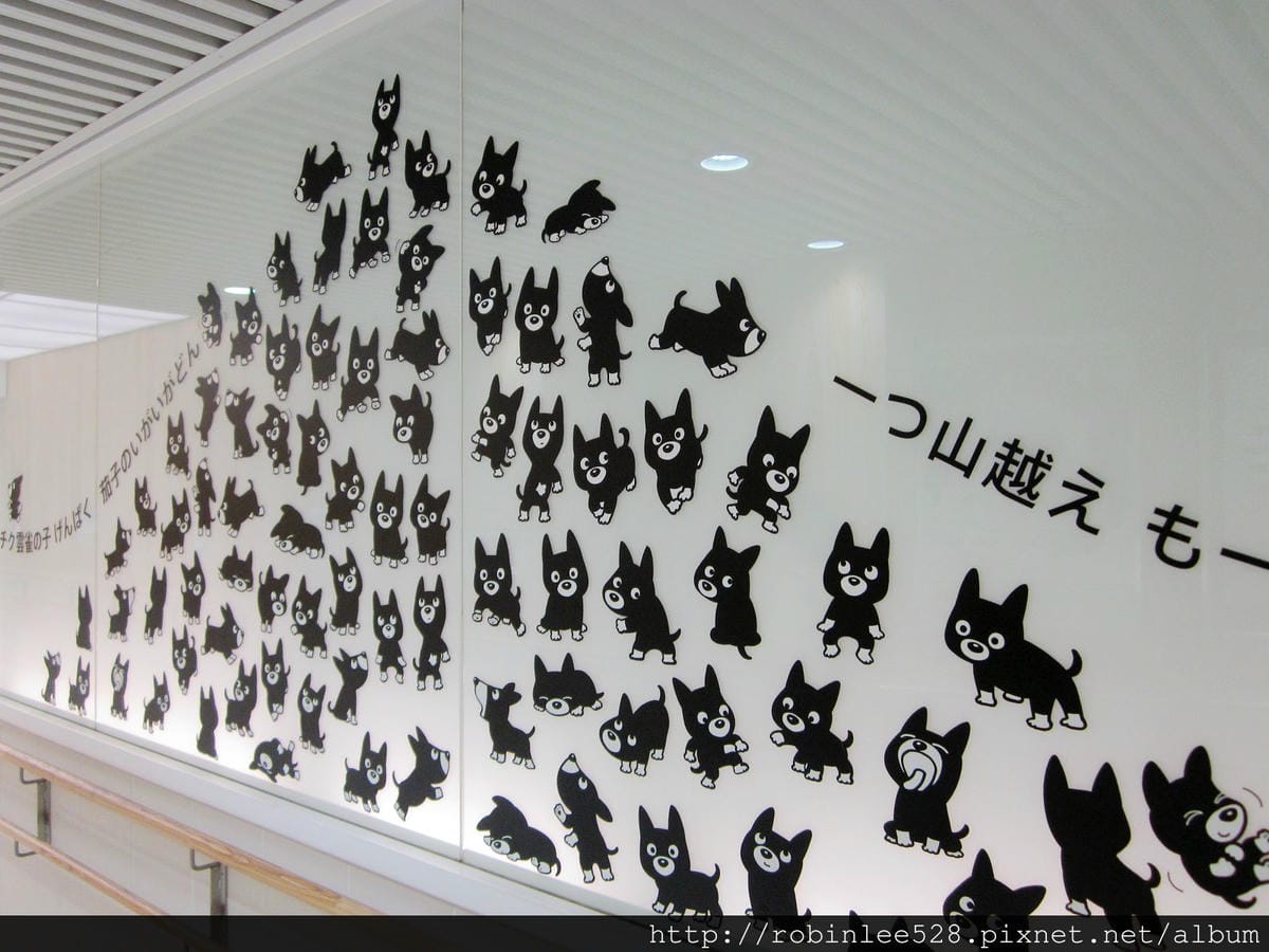 IMG_5569.jpg IMG_5569.jpg