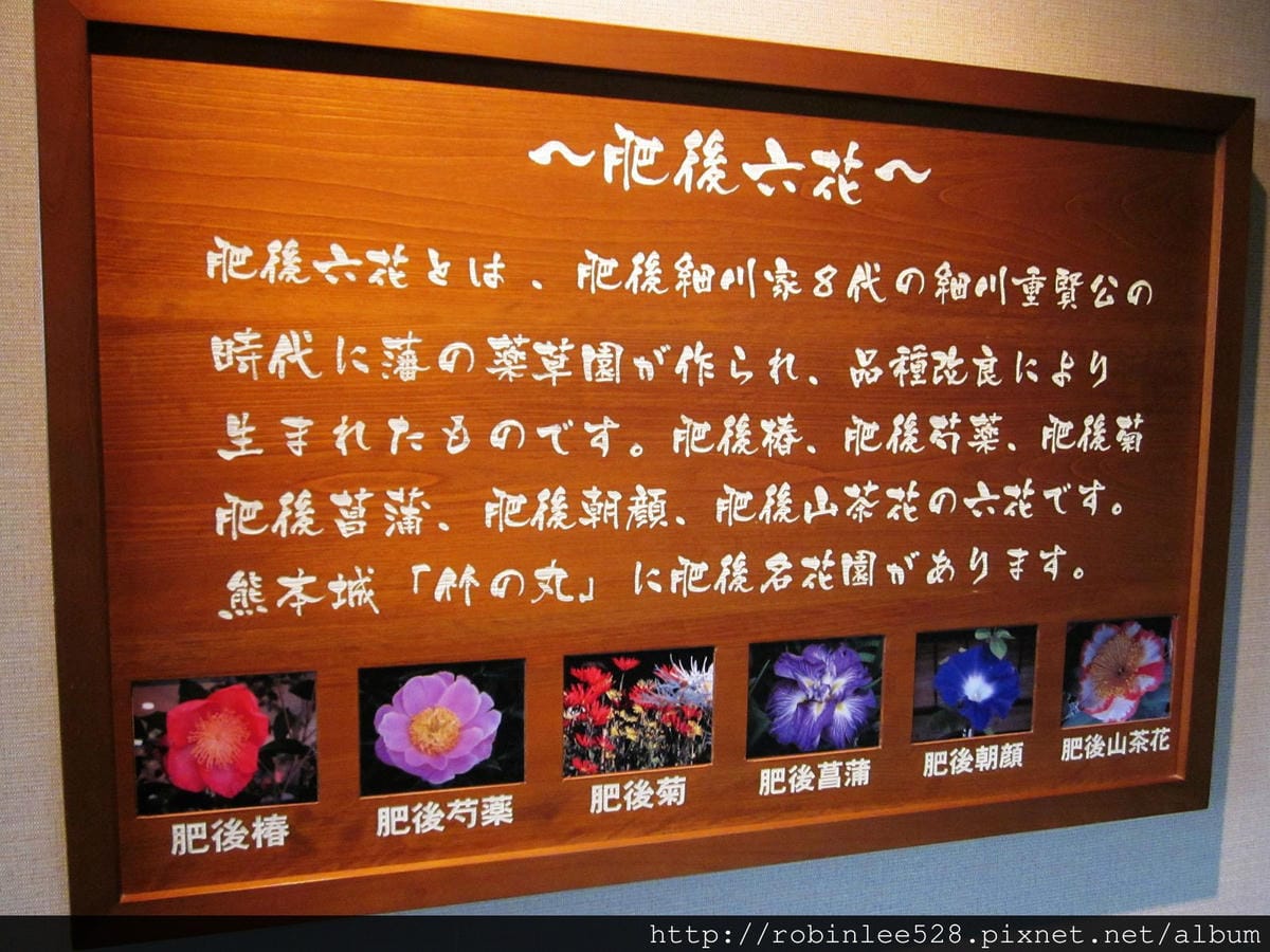 IMG_5724.jpg IMG_5724.jpg