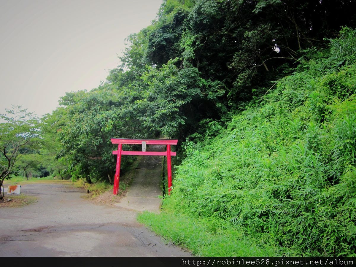 IMG_5940.jpg IMG_5940.jpg