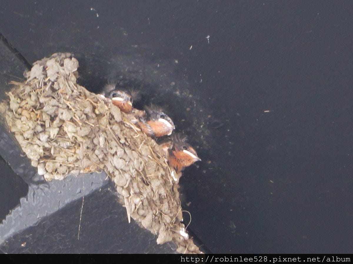 IMG_6171.jpg IMG_6171.jpg