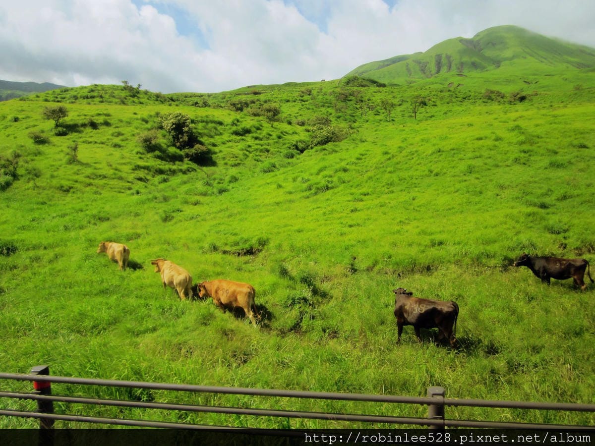 IMG_6174.jpg IMG_6174.jpg