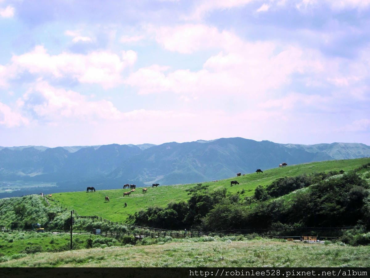 IMG_6177.jpg IMG_6177.jpg