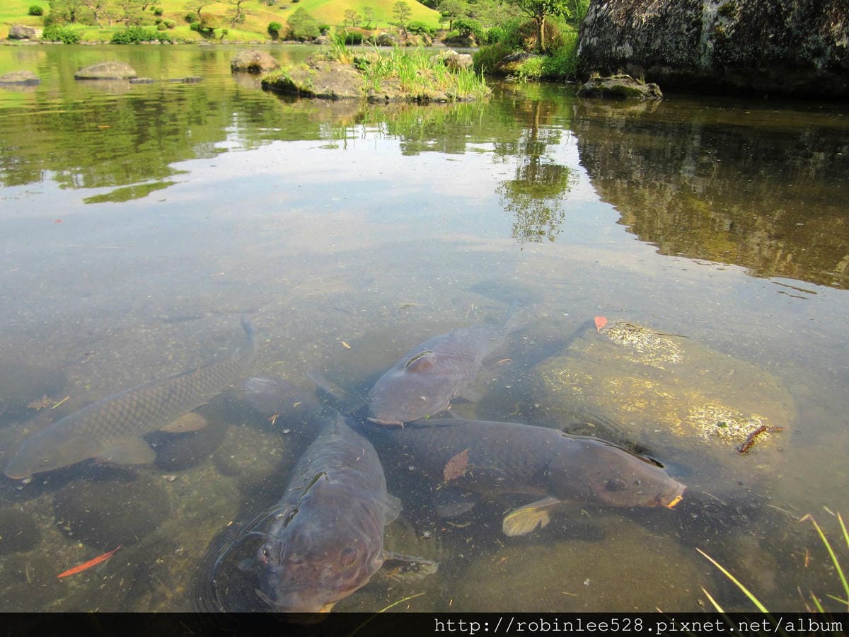 IMG_6261.jpg IMG_6261.jpg