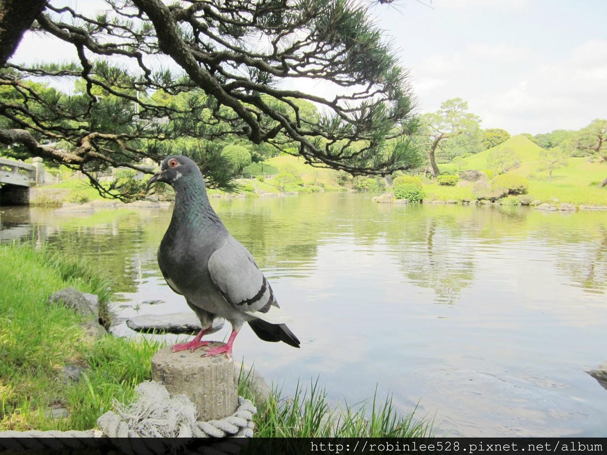 IMG_6262.jpg IMG_6262.jpg