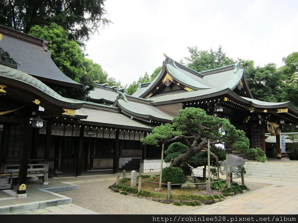 IMG_6284.jpg IMG_6284.jpg