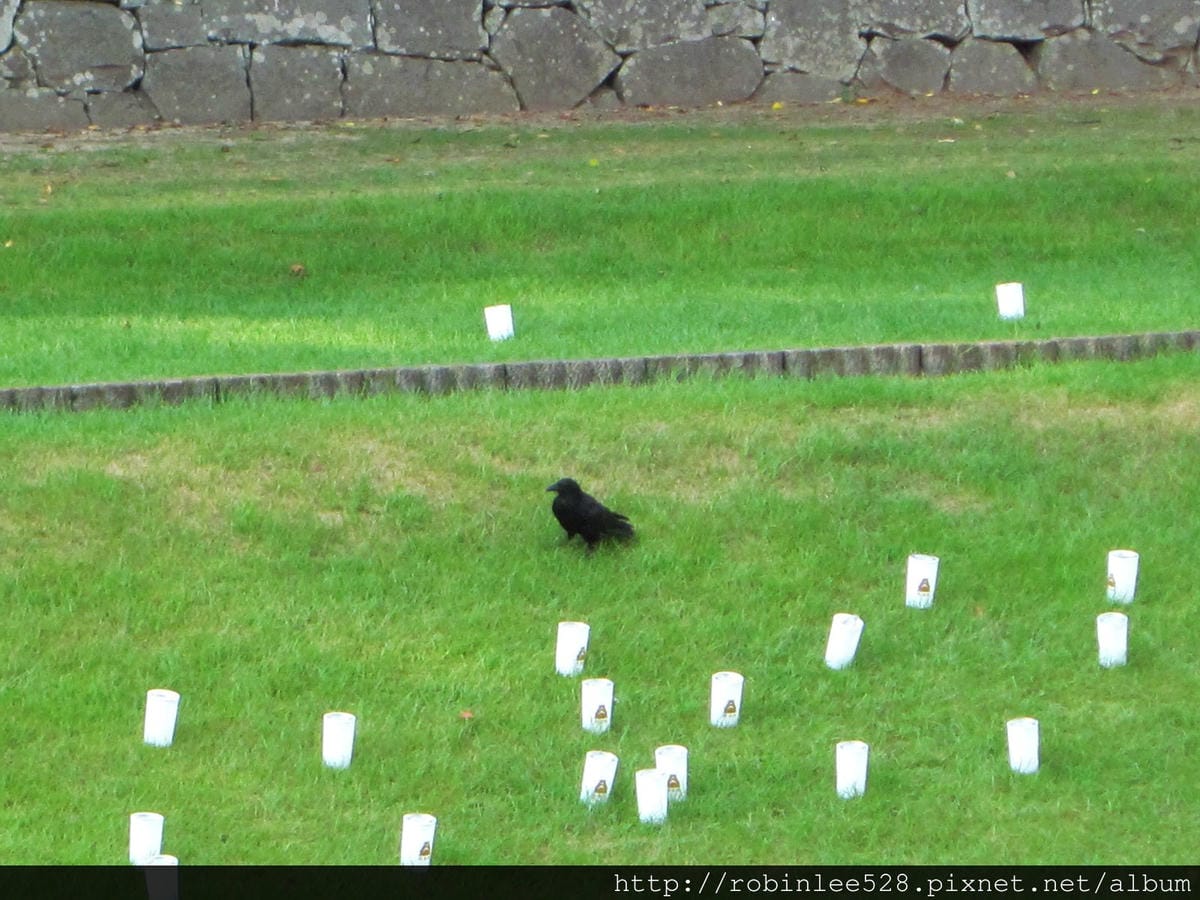 IMG_6298.jpg IMG_6298.jpg