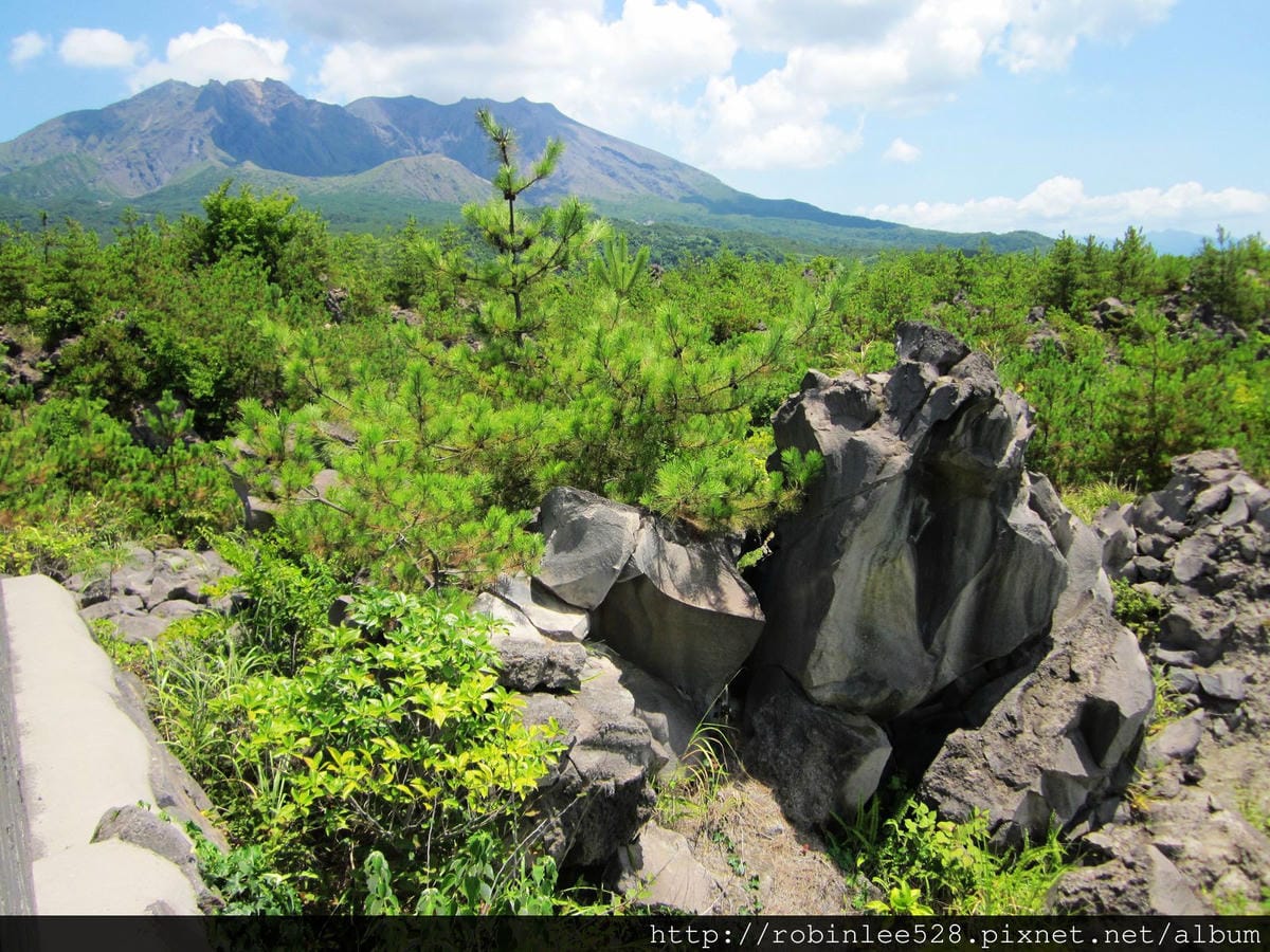 IMG_6496.jpg IMG_6496.jpg