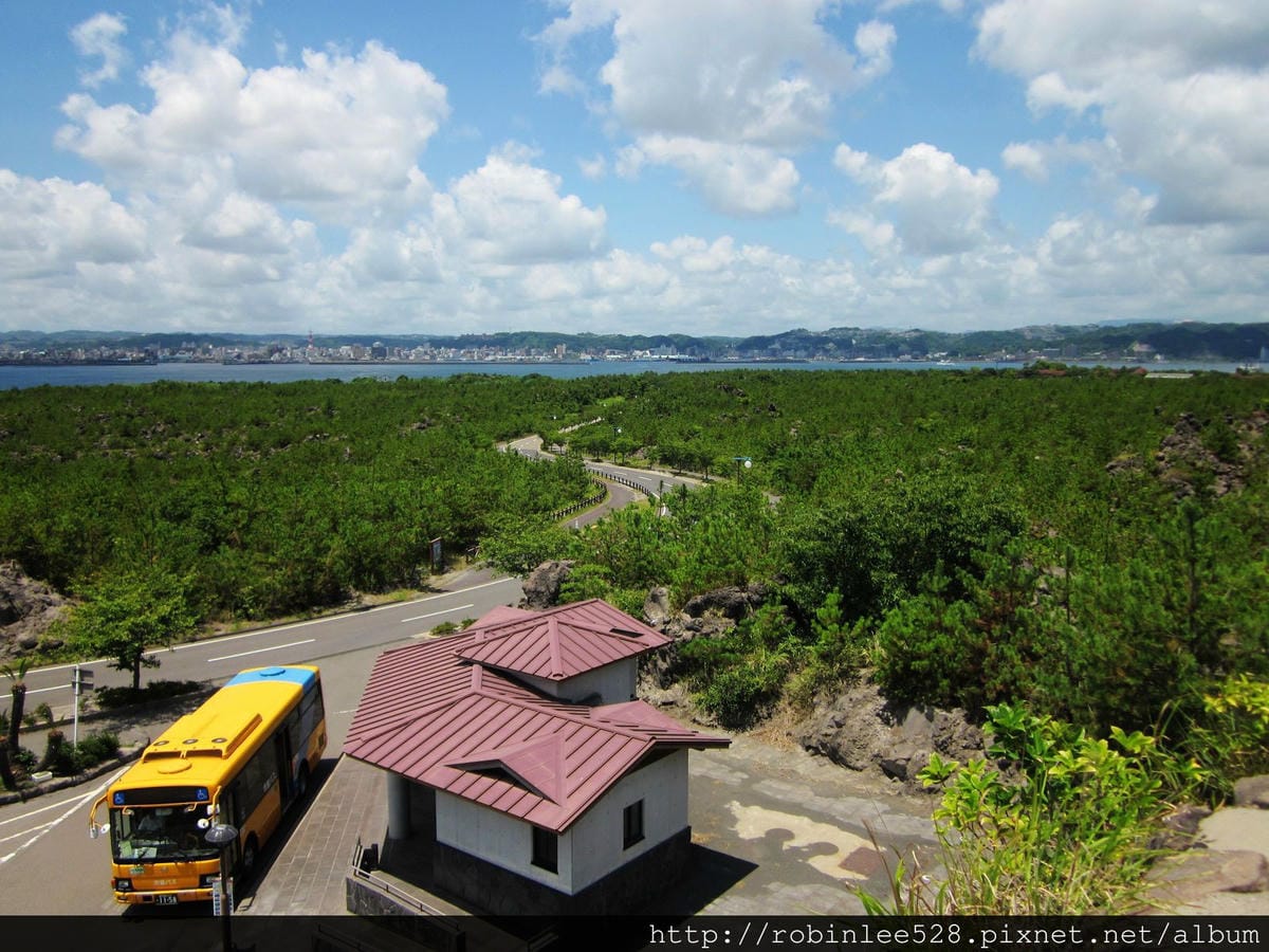 IMG_6495.jpg IMG_6495.jpg