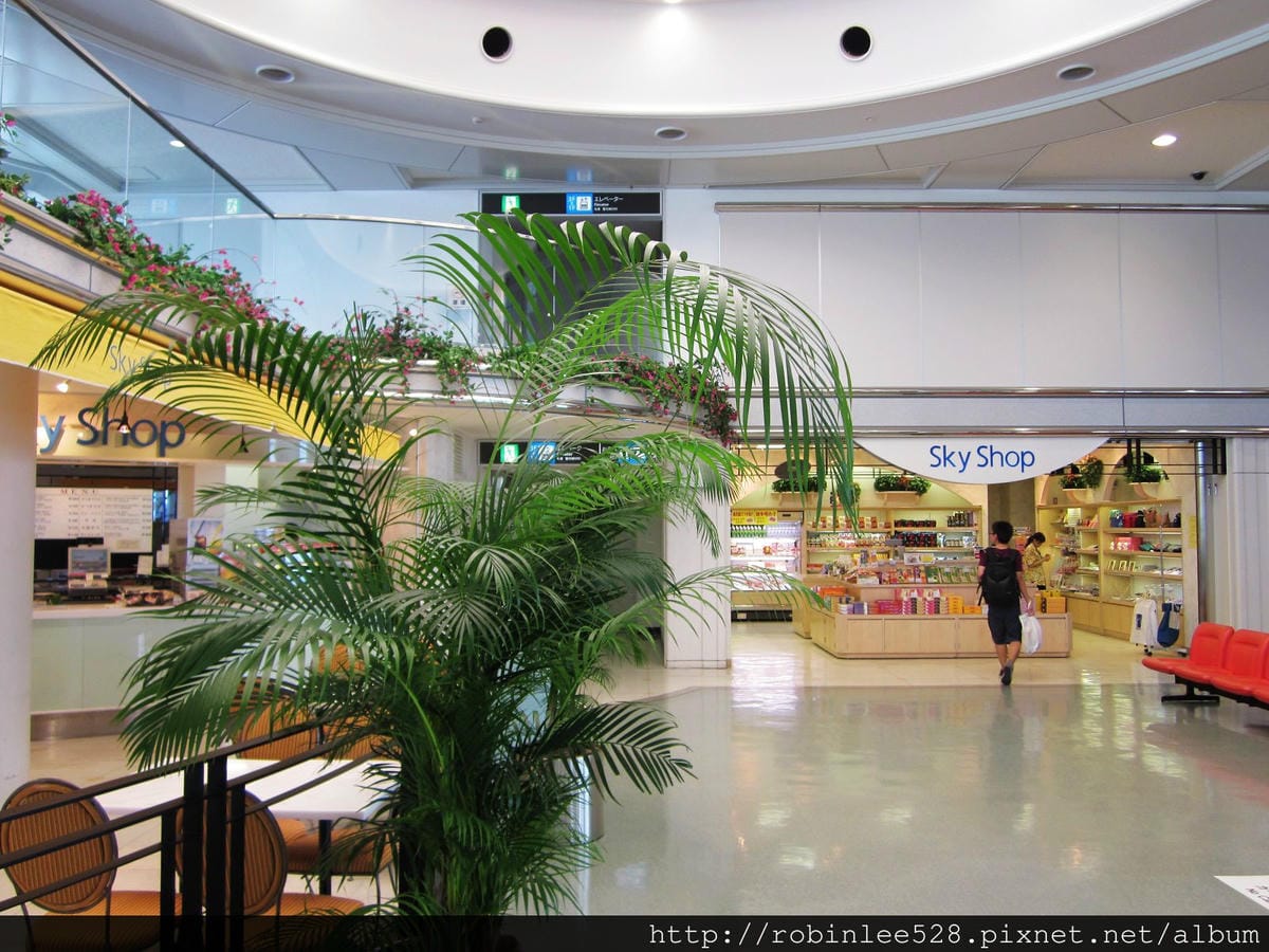 IMG_6781.jpg IMG_6781.jpg