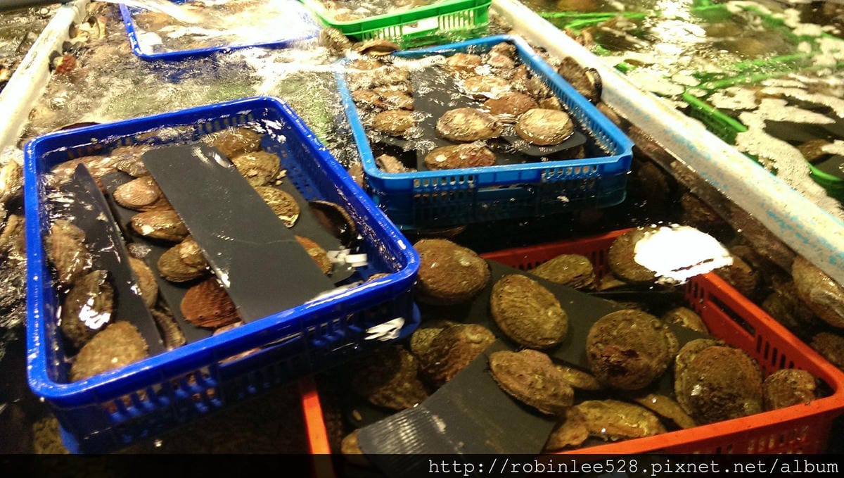 IMAG0384.jpg IMAG0384.jpg