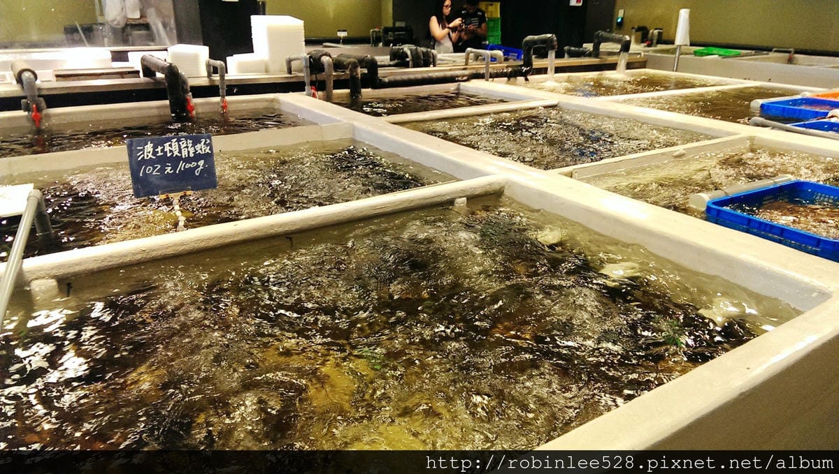 IMAG0382.jpg IMAG0382.jpg