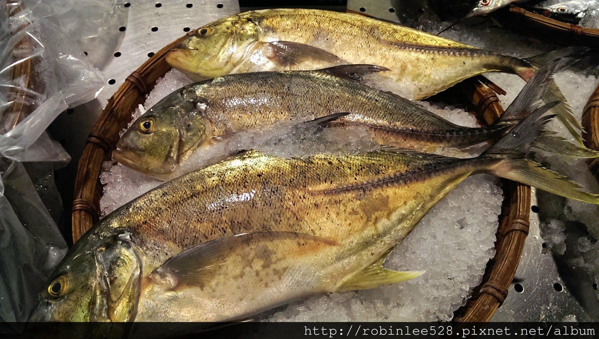 IMAG0386.jpg IMAG0386.jpg