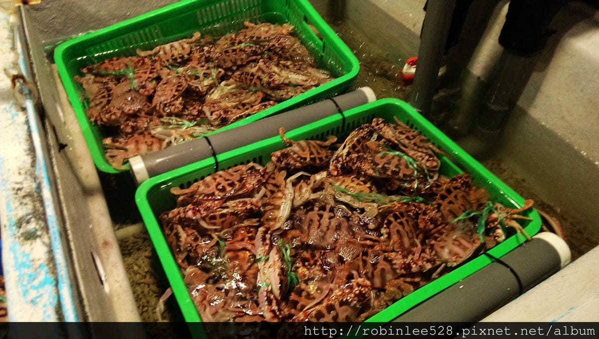 IMAG0385.jpg IMAG0385.jpg