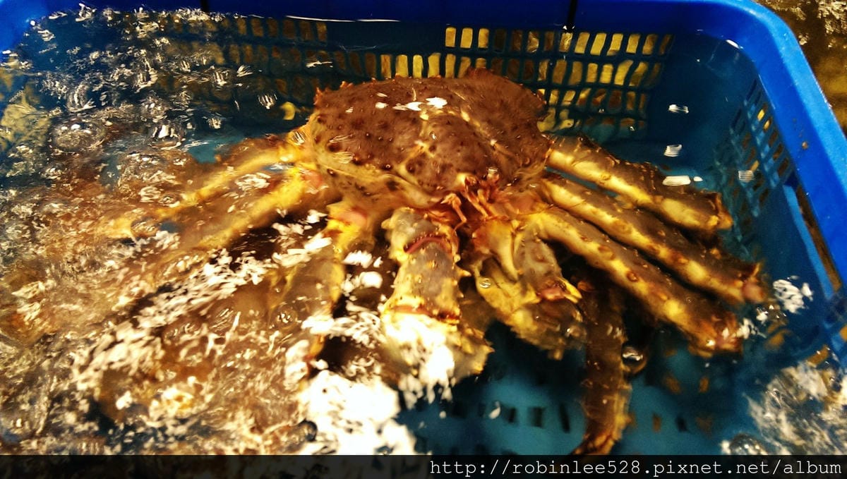 IMAG0383.jpg IMAG0383.jpg