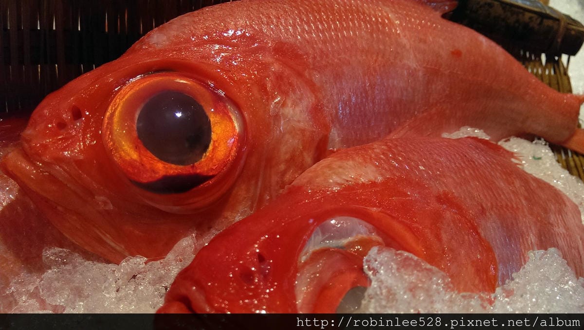 IMAG0387.jpg IMAG0387.jpg