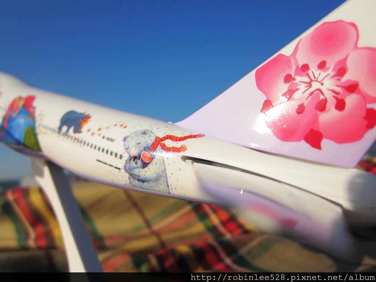 IMG_9507.JPG IMG_9507.JPG