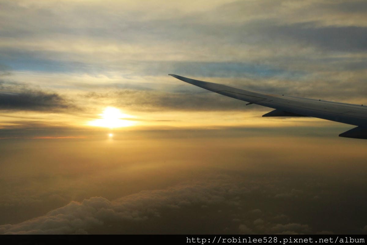 IMG_8631.jpg IMG_8631.jpg