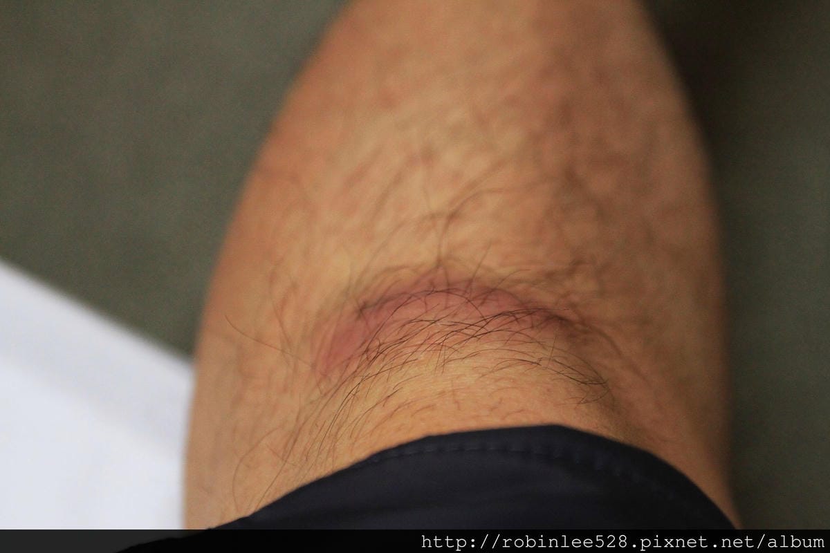 IMG_9287.jpg IMG_9287.jpg