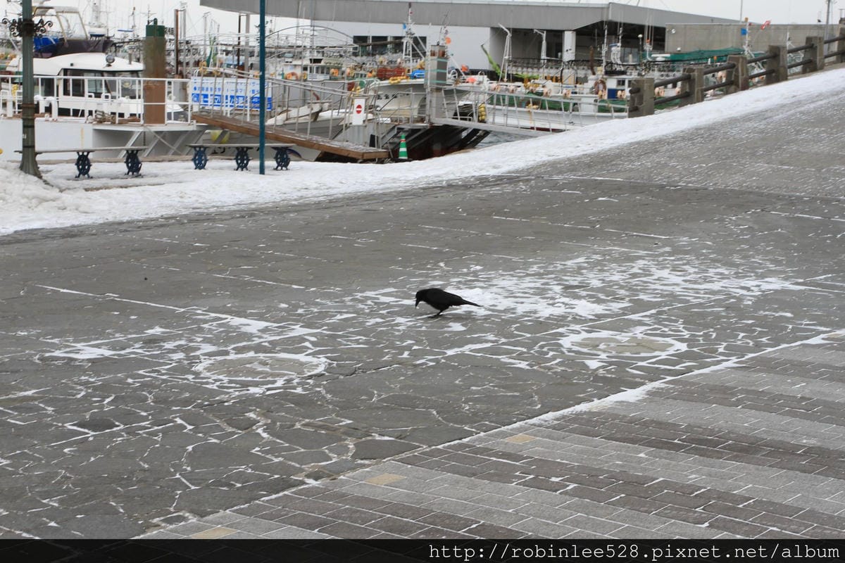 IMG_9099.jpg IMG_9099.jpg