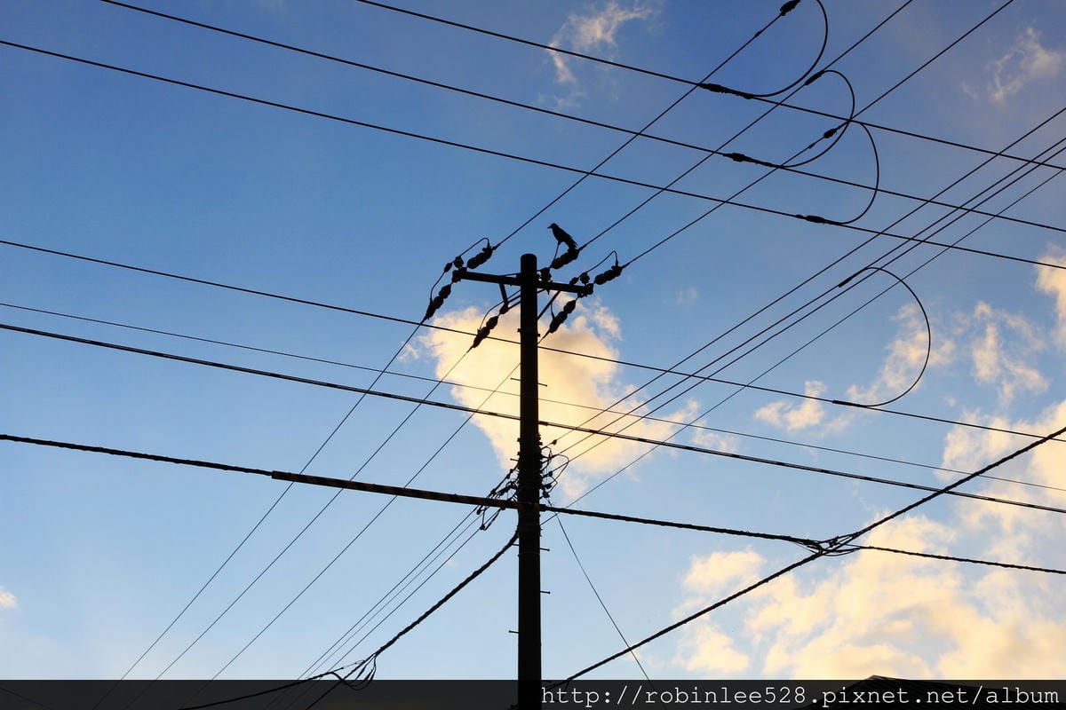 IMG_8950.jpg IMG_8950.jpg