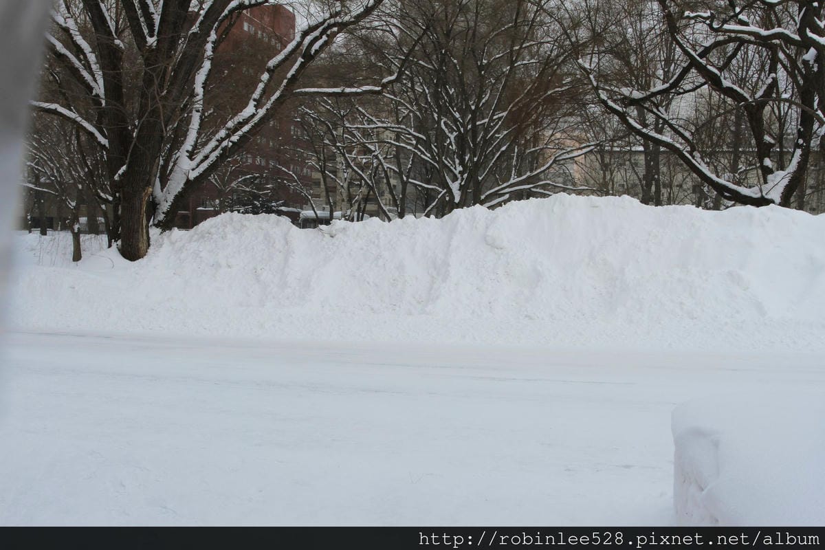 IMG_9533.jpg IMG_9533.jpg