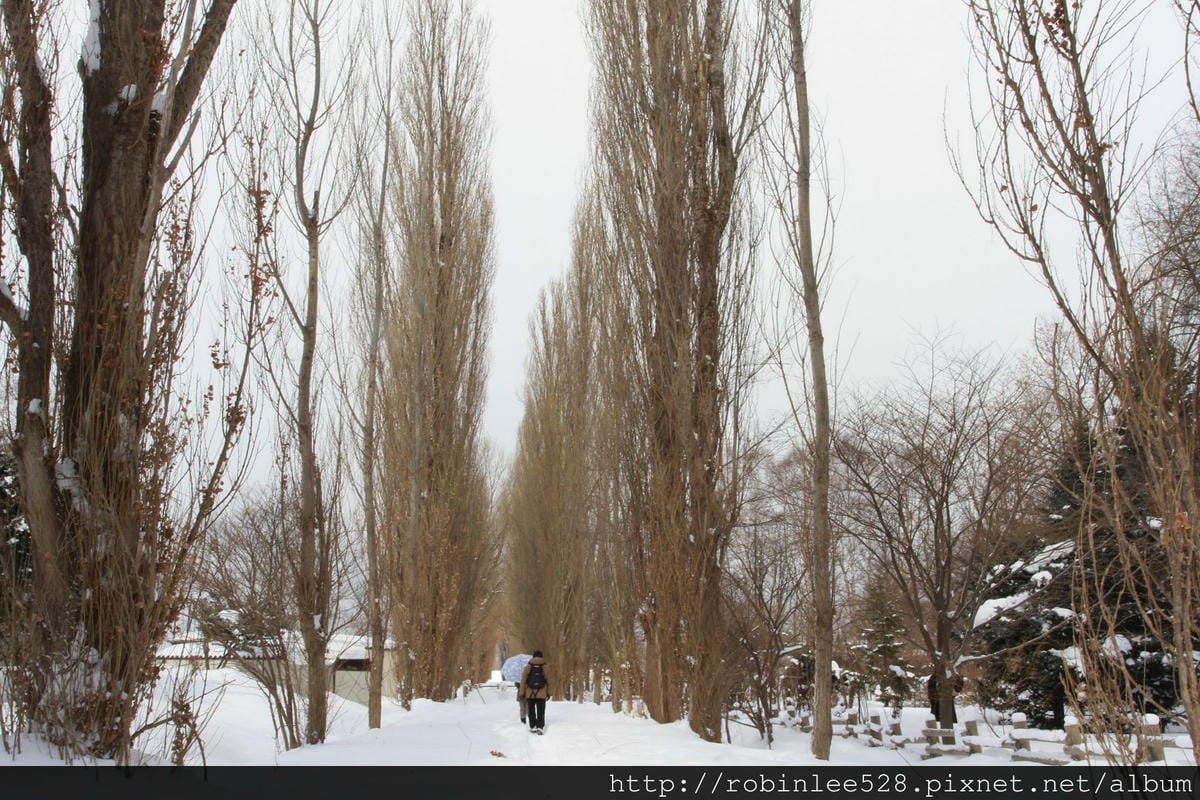 IMG_9573.jpg IMG_9573.jpg