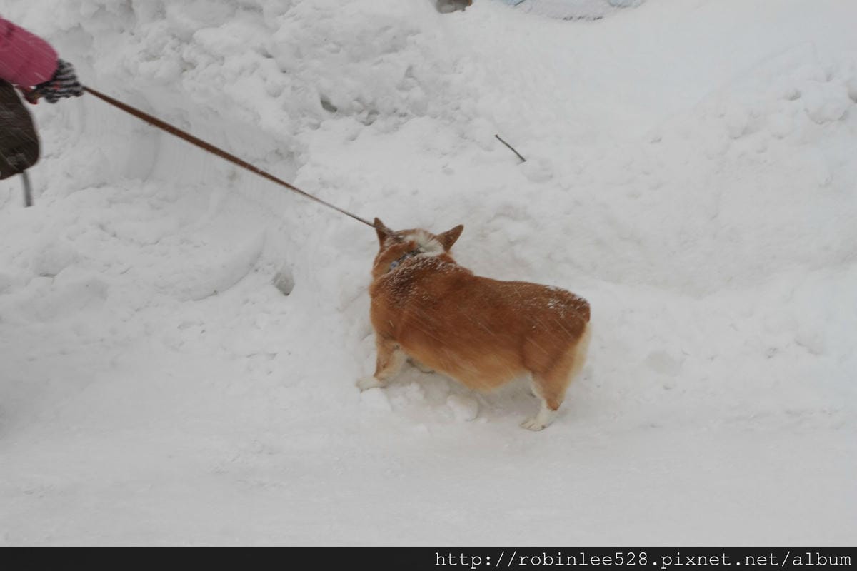 IMG_9557.jpg IMG_9557.jpg