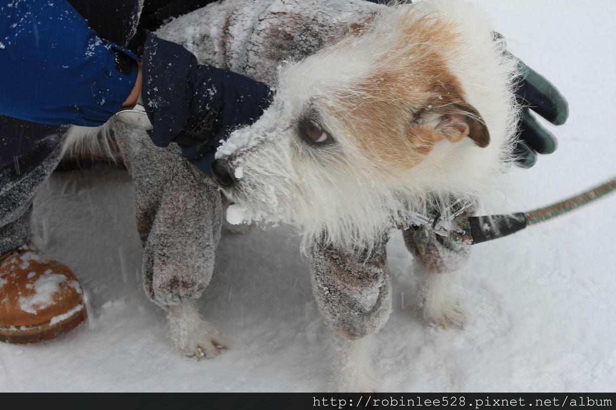 IMG_9588.jpg IMG_9588.jpg