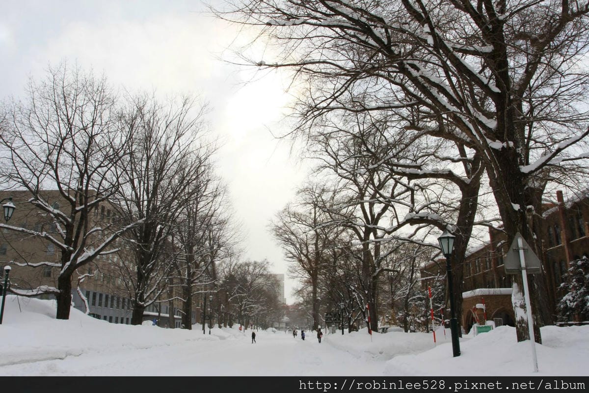 IMG_9591.jpg IMG_9591.jpg