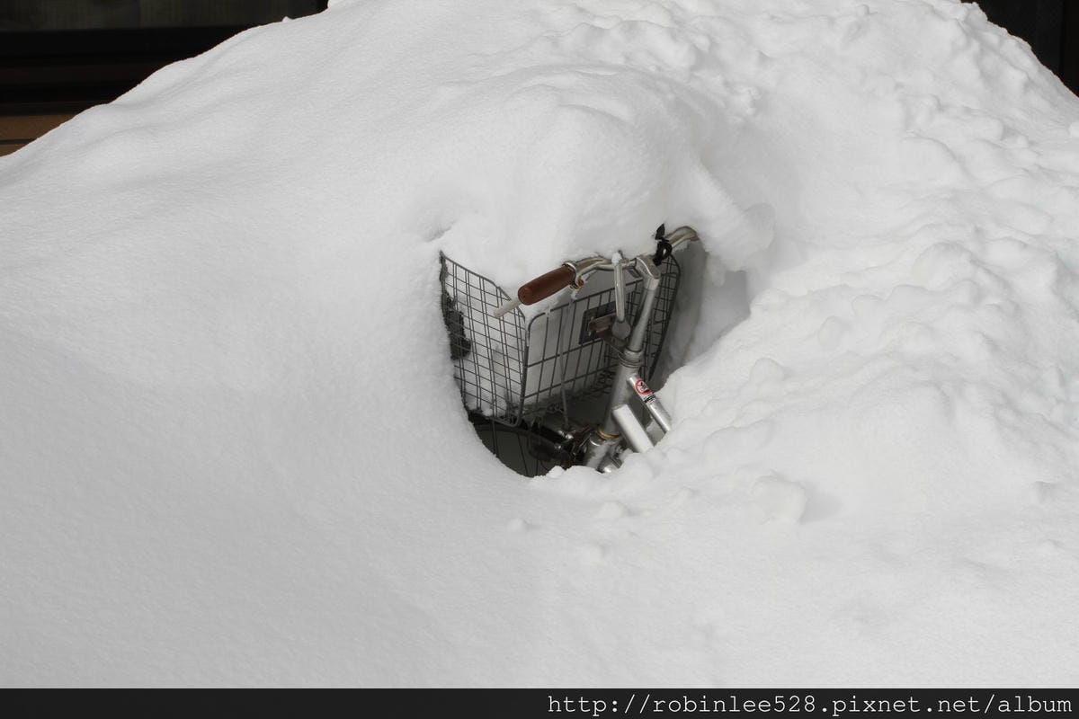 IMG_9544.jpg IMG_9544.jpg