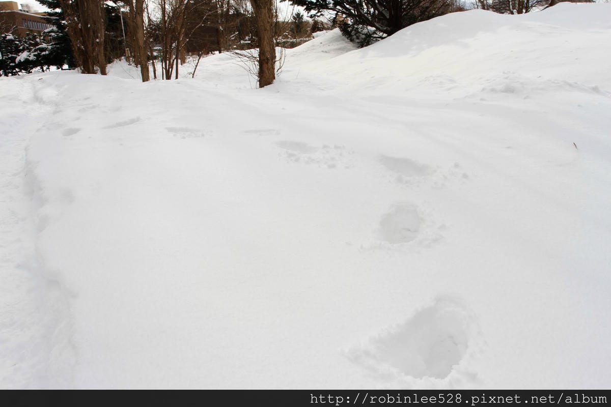 IMG_9575.jpg IMG_9575.jpg