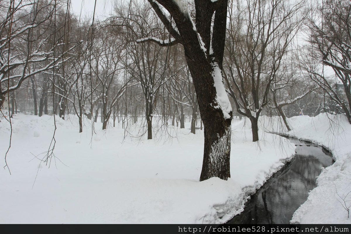 IMG_9531.jpg IMG_9531.jpg