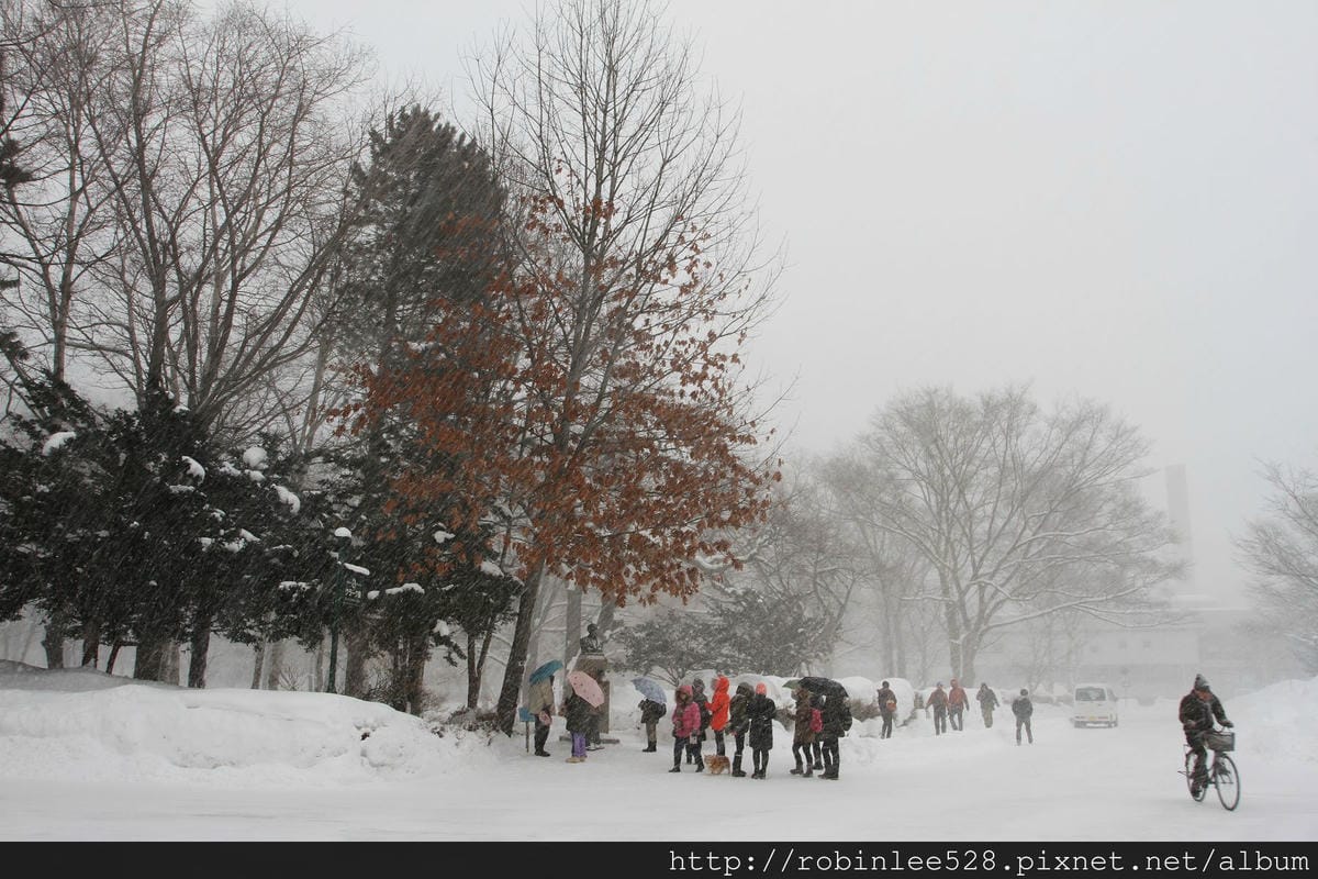 IMG_9556.jpg IMG_9556.jpg