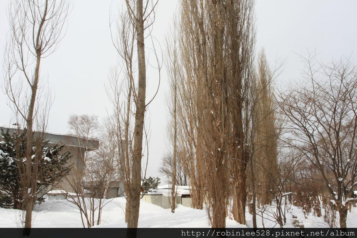 IMG_9574.jpg IMG_9574.jpg