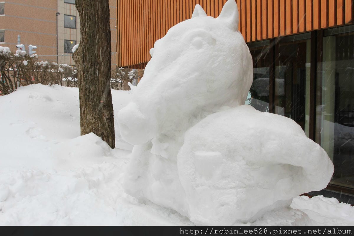 IMG_9528.jpg IMG_9528.jpg