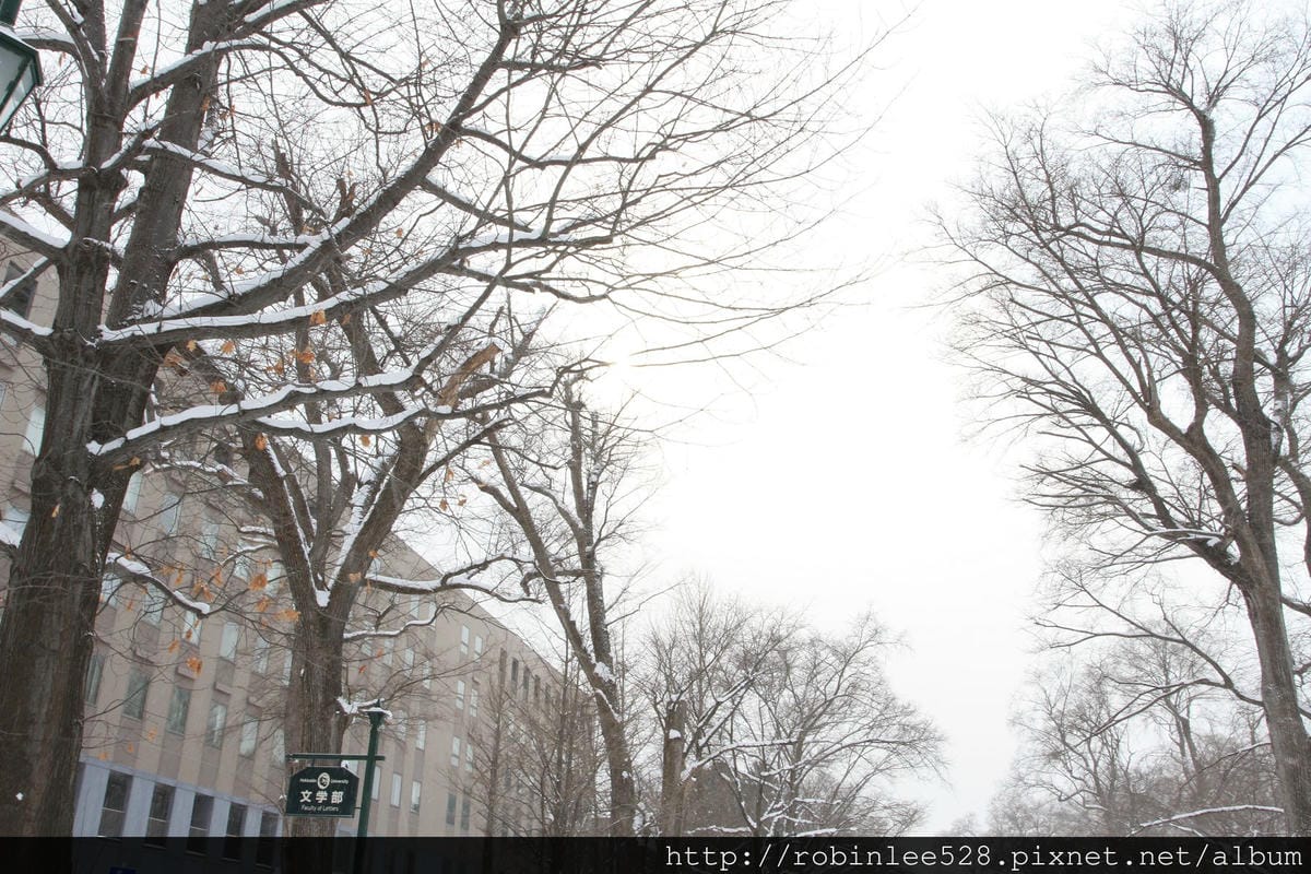 IMG_9569.jpg IMG_9569.jpg