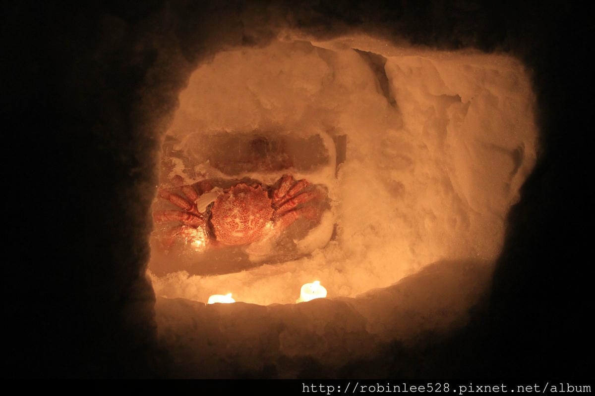 小樽散策 -堺町通/運河/手宮線 超夢幻雪燈之路! - 第39張圖 小樽散策 -堺町通/運河/手宮線 超夢幻雪燈之路!