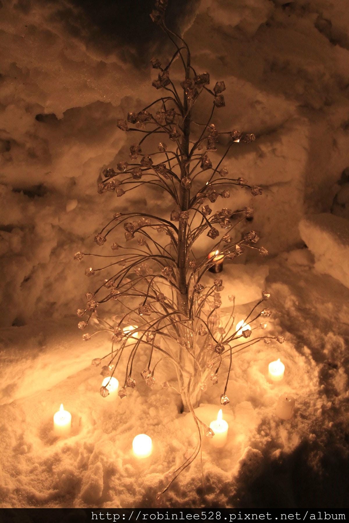 小樽散策 -堺町通/運河/手宮線 超夢幻雪燈之路! - 第59張圖 小樽散策 -堺町通/運河/手宮線 超夢幻雪燈之路!