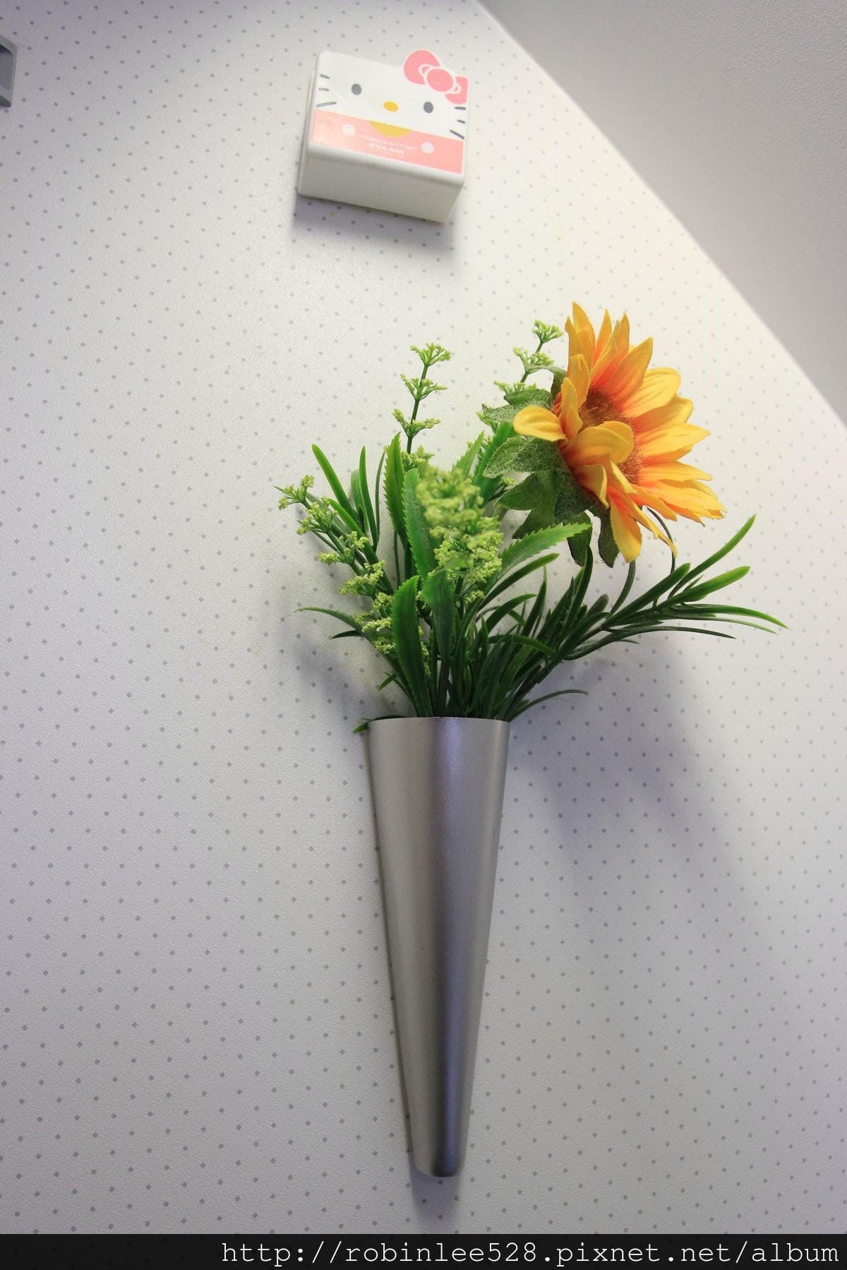 IMG_9950.jpg IMG_9950.jpg