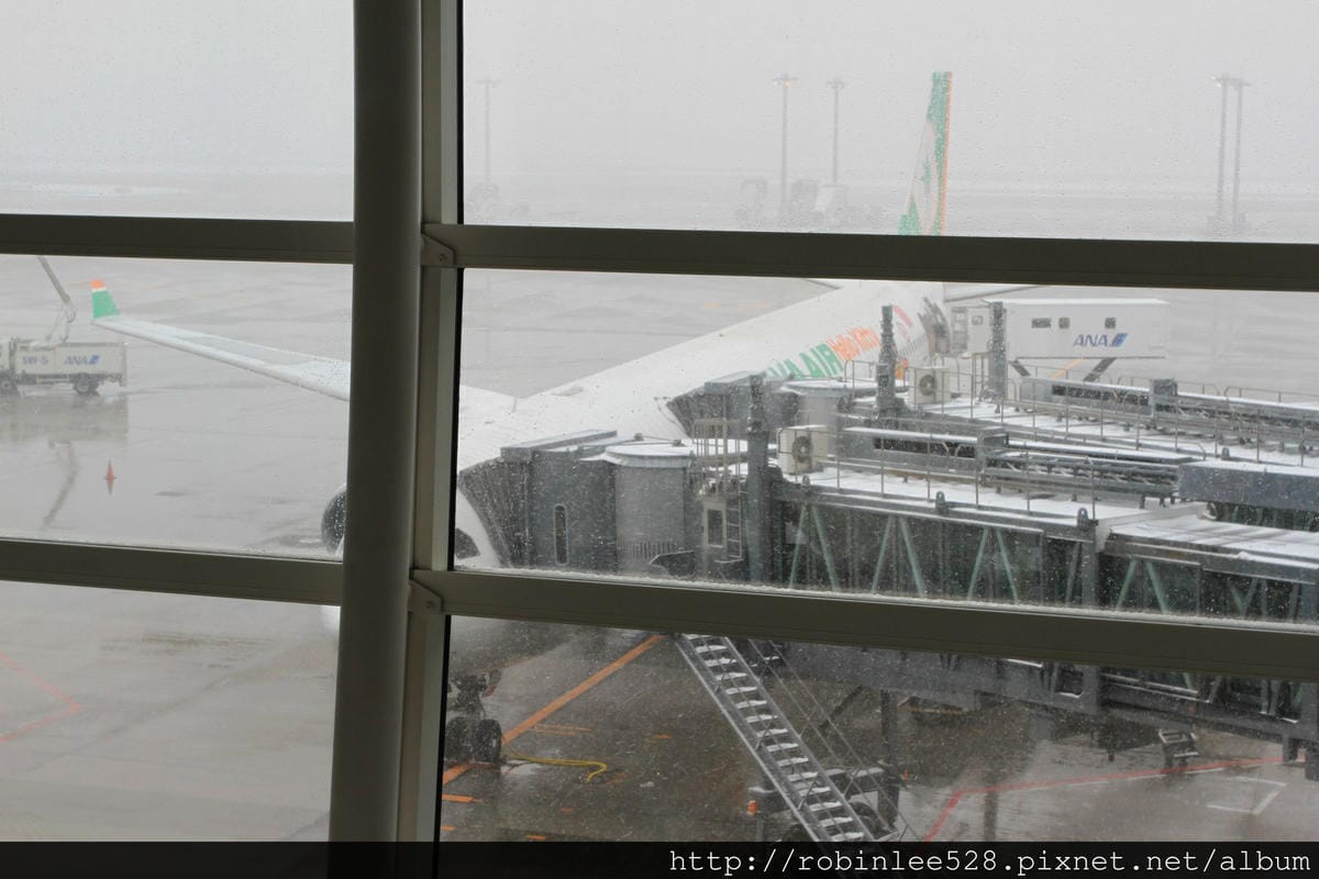 IMG_9875.jpg IMG_9875.jpg