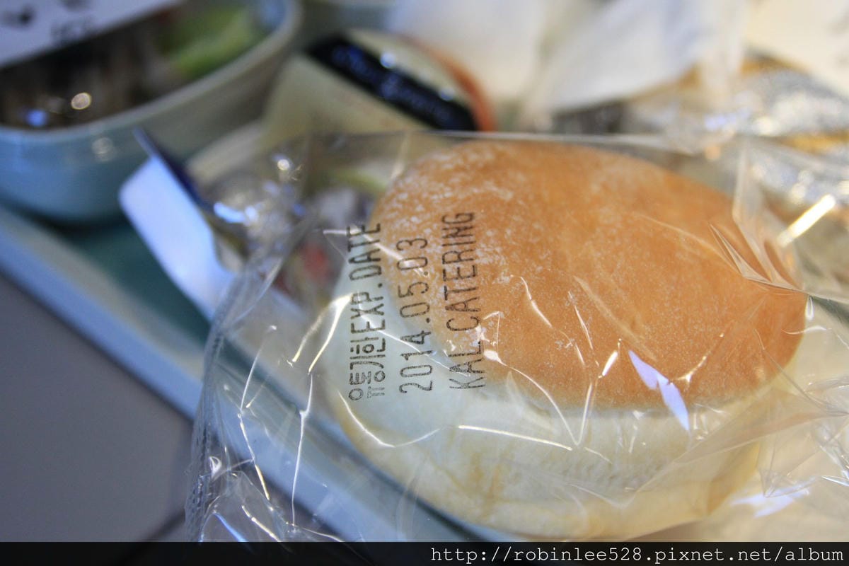 2014.5.1 大韓航空 KE693 仁川-桃園 737-800飛行記錄 - 第50張圖 2014.5.1 大韓航空 KE693 仁川-桃園 737-800飛行記錄