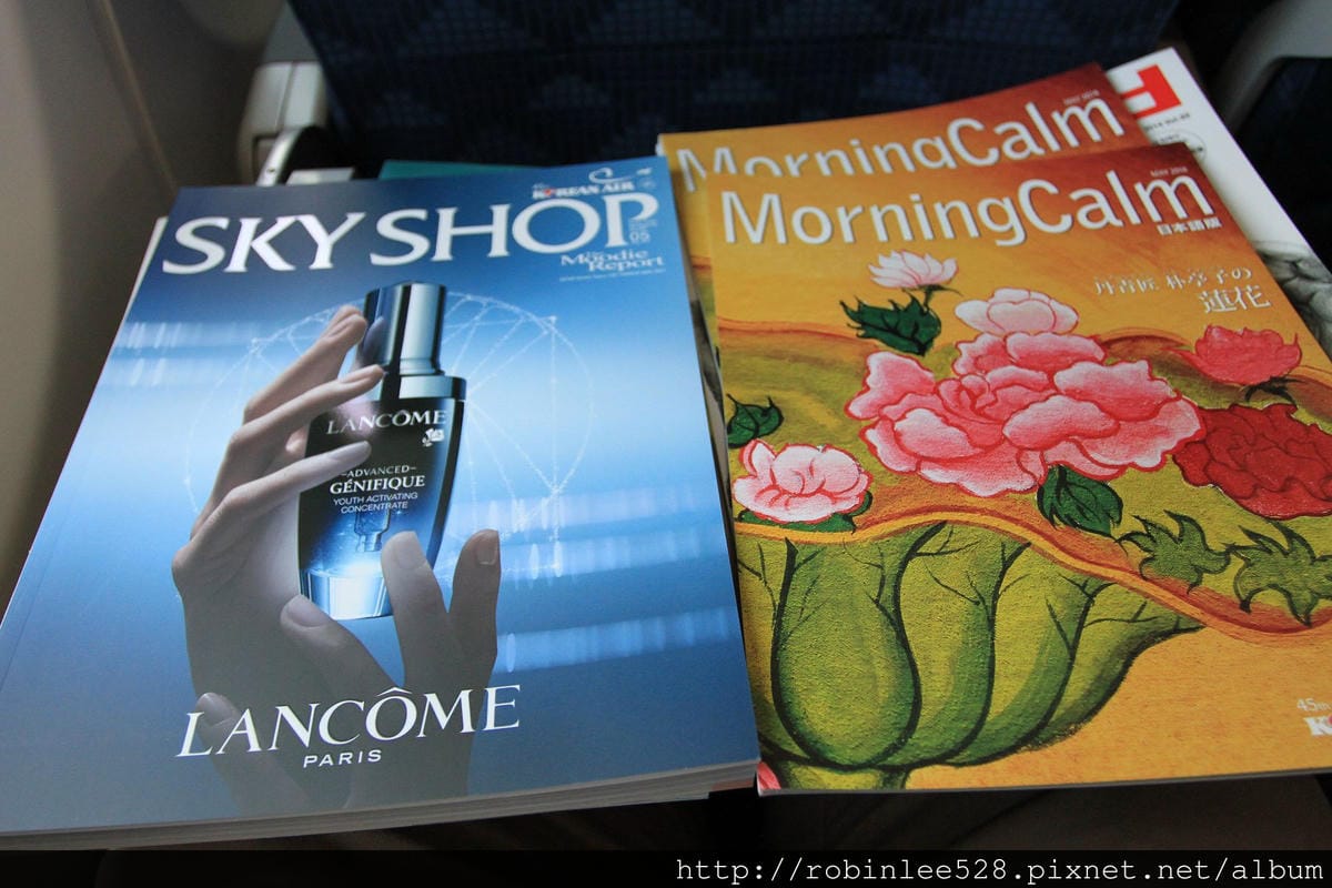 2014.5.1 大韓航空 KE693 仁川-桃園 737-800飛行記錄 - 第35張圖 2014.5.1 大韓航空 KE693 仁川-桃園 737-800飛行記錄
