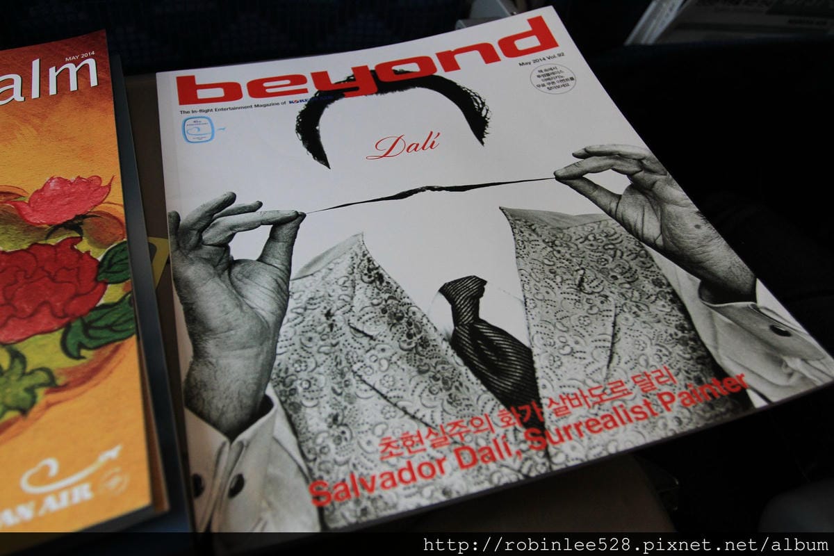2014.5.1 大韓航空 KE693 仁川-桃園 737-800飛行記錄 - 第36張圖 2014.5.1 大韓航空 KE693 仁川-桃園 737-800飛行記錄