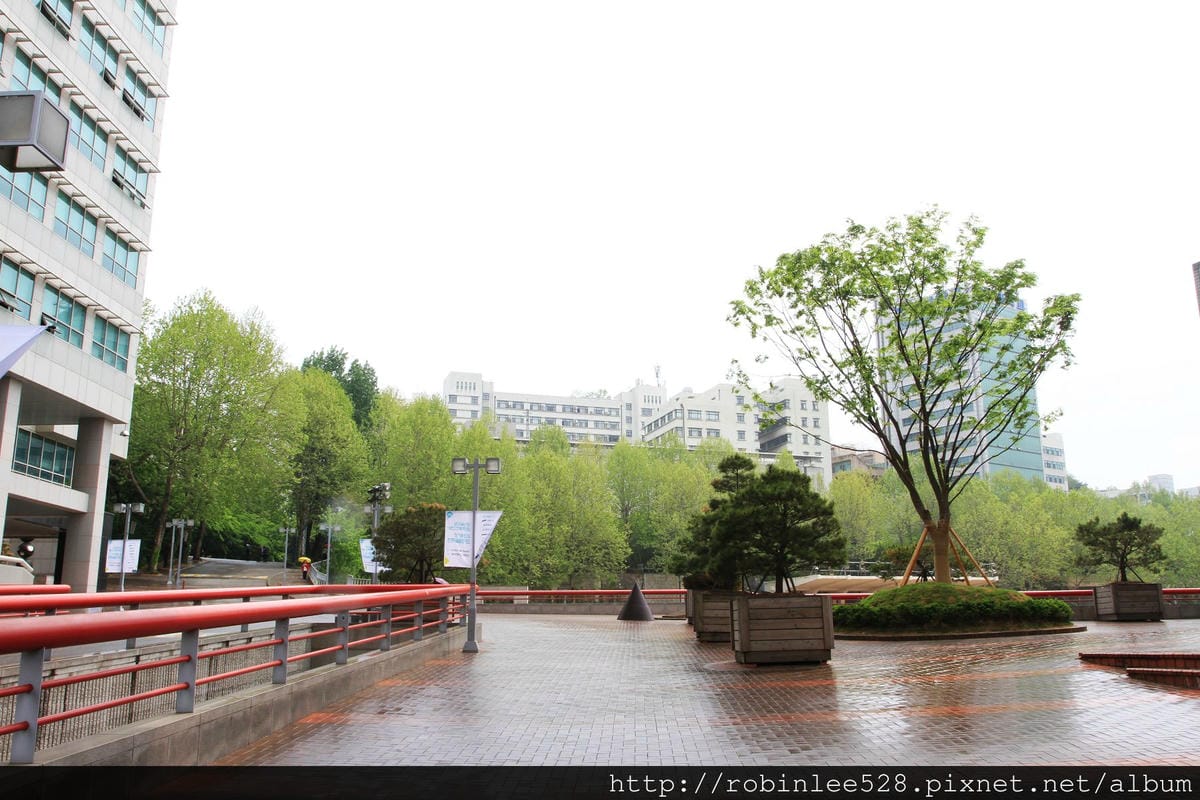 [首爾] 弘大商圈  韓國雞蛋糕、蜂巢霜淇淋、德國雪花球