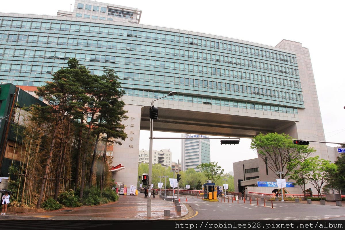 [首爾] 弘大商圈  韓國雞蛋糕、蜂巢霜淇淋、德國雪花球