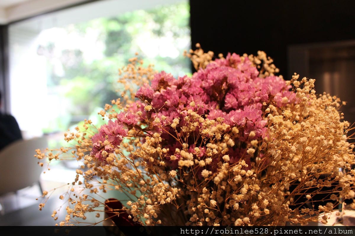 [高雄] Stain 漬咖啡  -路過一窗豆香綠意