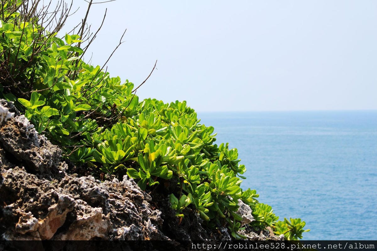 追浪南の島嶼 [小琉球]一日遊 熱血環島紀實