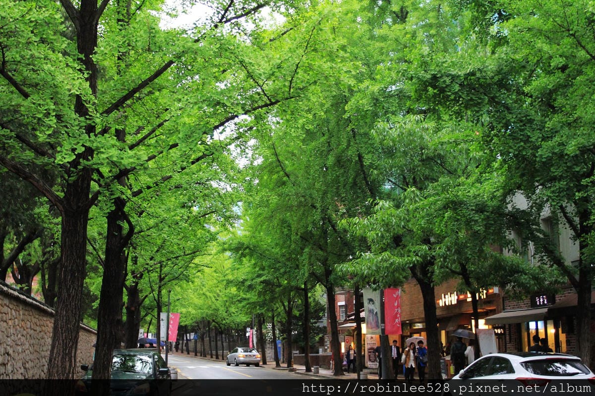 首爾最美的一條路– 貞洞 / 德壽宮石牆路 - 第17張圖 首爾最美的一條路– 貞洞 / 德壽宮石牆路