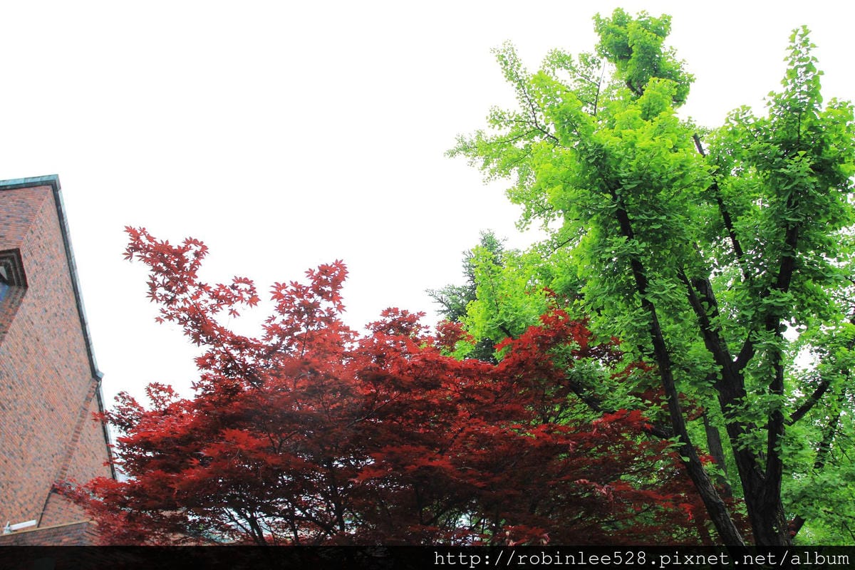 首爾最美的一條路– 貞洞 / 德壽宮石牆路 - 第16張圖 首爾最美的一條路– 貞洞 / 德壽宮石牆路
