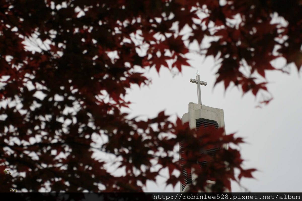 首爾最美的一條路– 貞洞 / 德壽宮石牆路 - 第14張圖 首爾最美的一條路– 貞洞 / 德壽宮石牆路